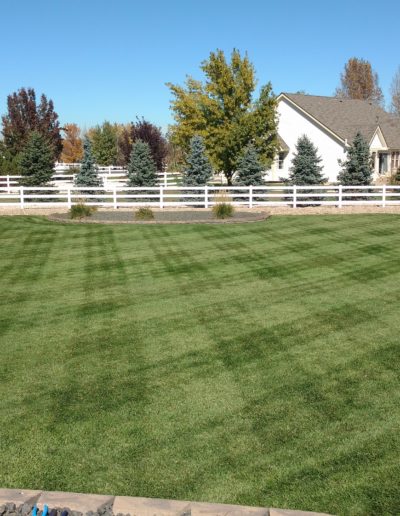 Lawn Mowing Thornton, Co