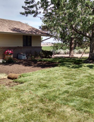 lawn care services commerce city, co