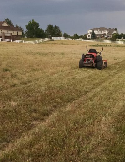 Lawn Mowing Thornton, Co